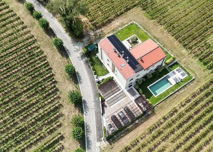 Il Vigneto